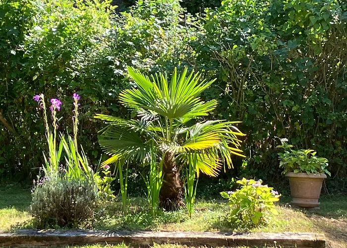 Maison Spacieuse Entre Et Campagne Avec Terrasse Et Jardin A - Fr-1-712-91 滨海维莱