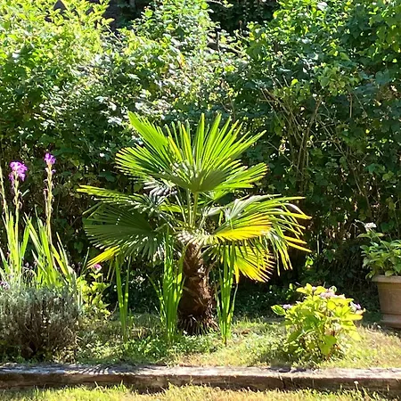 Maison Spacieuse Entre Et Campagne Avec Terrasse Et Jardin A - Fr-1-712-91 Villers-sur-Mer